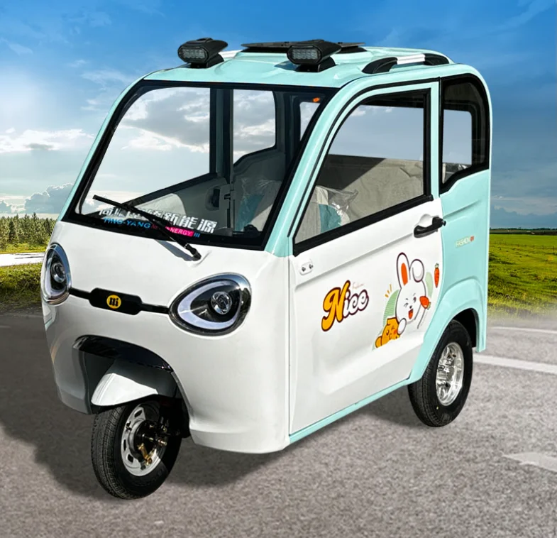 Fully Enclosed Electric Tricycle Adult Family Female Small New Energy Five-door Double-row Battery Tricycle