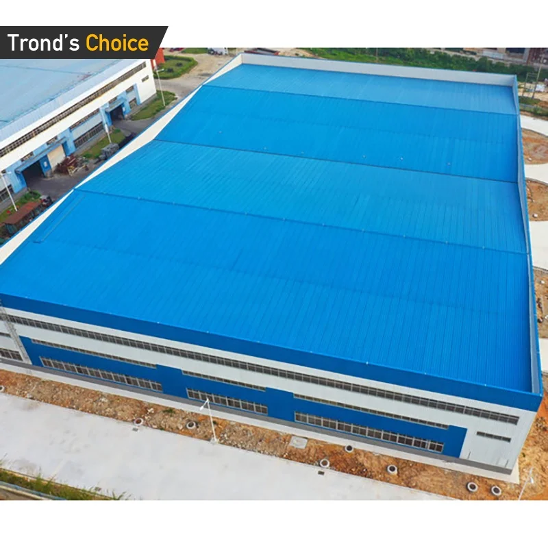 Customized prefabricated steel structure building low cost office factory workshop warehouse steel building