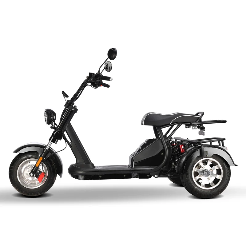 New design disc brake upgraded front fork 60V2000W three-wheel electric city coco trike bike