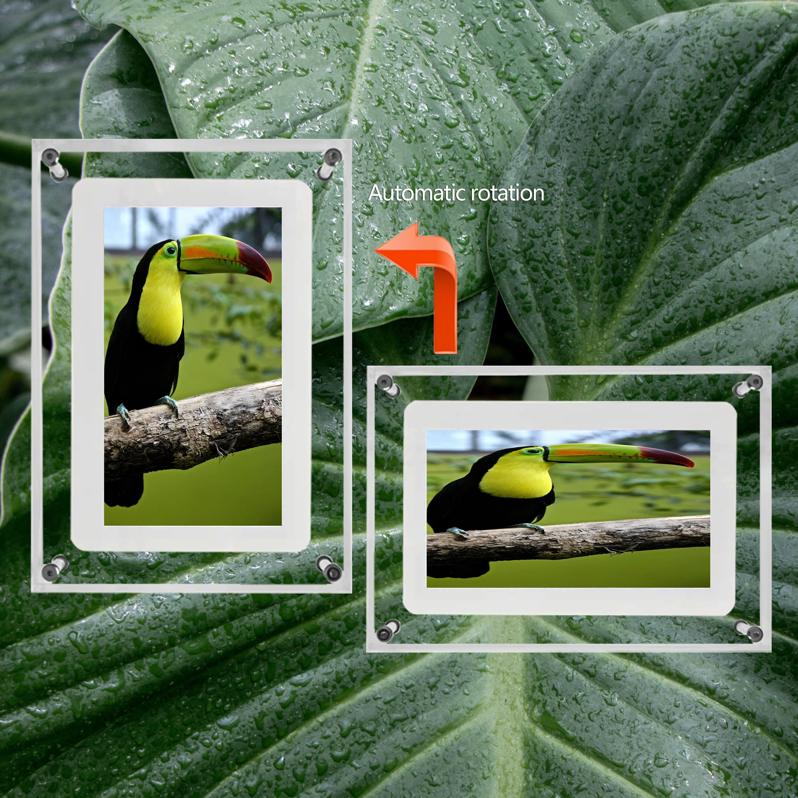 7 inch acrylic digital photo frame built-in memory magnetic  type c interface