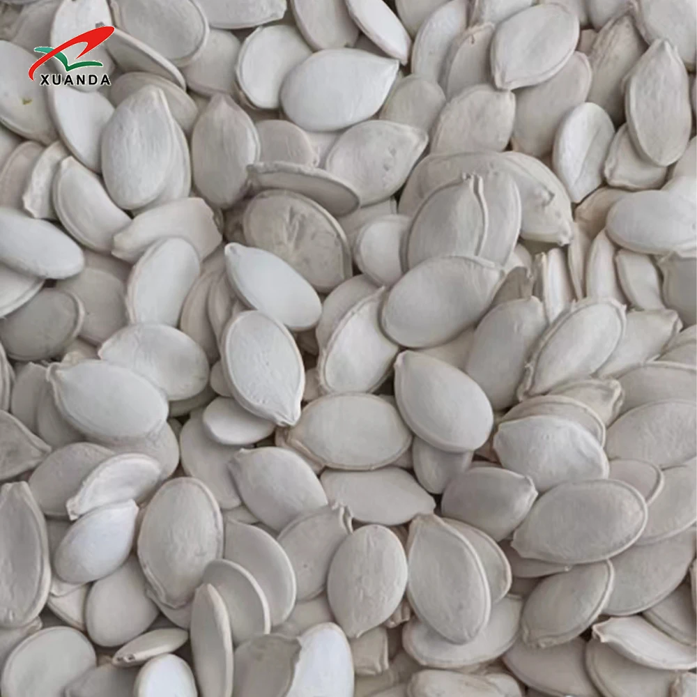newest crop seeds and Nuts Hot Sale Dried Snack Top Grade 100% Natural Snow White Pumpkin Seeds