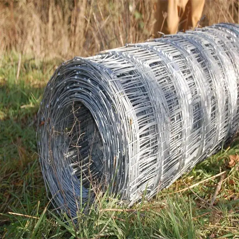 Wholesale Hot Dipped Galvanized Welded Wire Mesh Roll For Cattle Fence