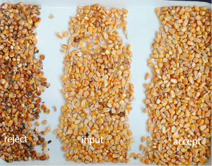 Most Popular Mini Color Sorter Corn Color Sorting Machine Buckwheat Wheat Rice Corn Processing Cleaning Machine