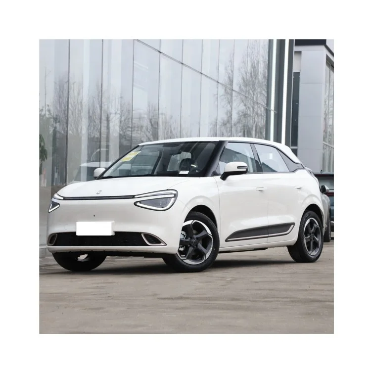 New Dongfeng Nano 01 Mini Electric Car 5 Seats Cltc 430km