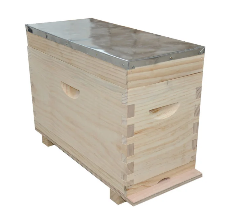 Wholesale Beekeeping box full set radiata pine wood hives hunt bees