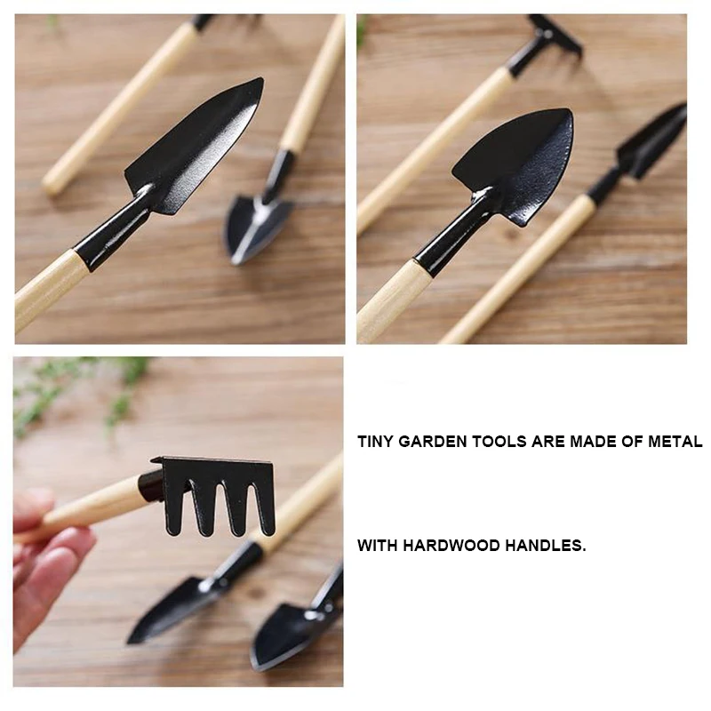 Mini Set of 3 Tiny Indoor Garden Tool, Hand Planting Tools, Small Shovel/Rake/Spade Succulent Soil Tools for Indoor Gardening