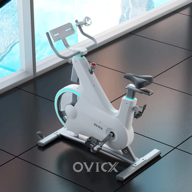 OVICX Q210 laux exercise spinning bike professional foldable home use fitness