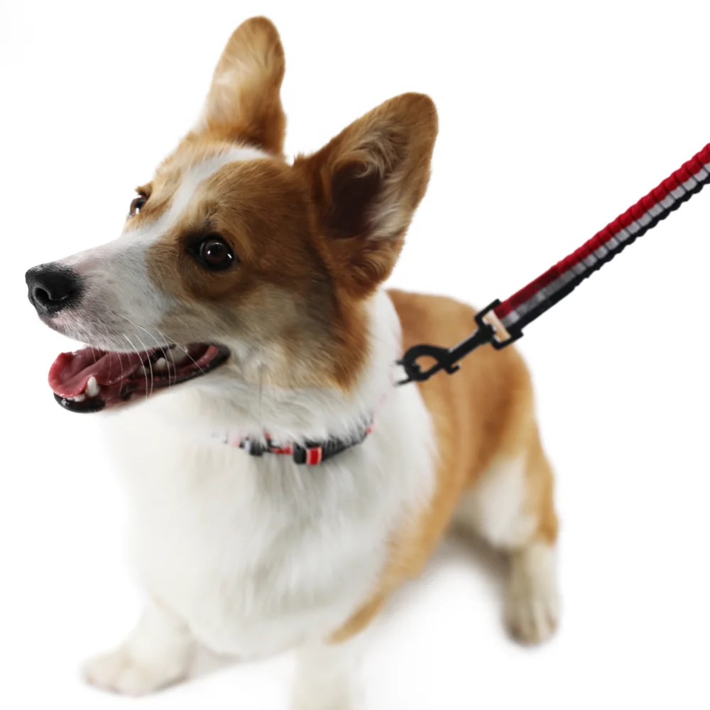 
Amazon Hot Sales Pet Dog Harness Breathable Mesh Chest Back With Dog Leash 