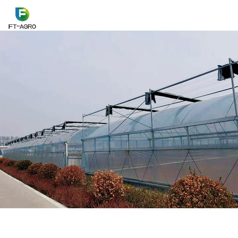 
high yield commercial hydroponic greenhouse film greenhouse for lettuce planting 