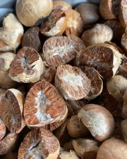 Betel Nut - high quality products - high prices in the market in 2023