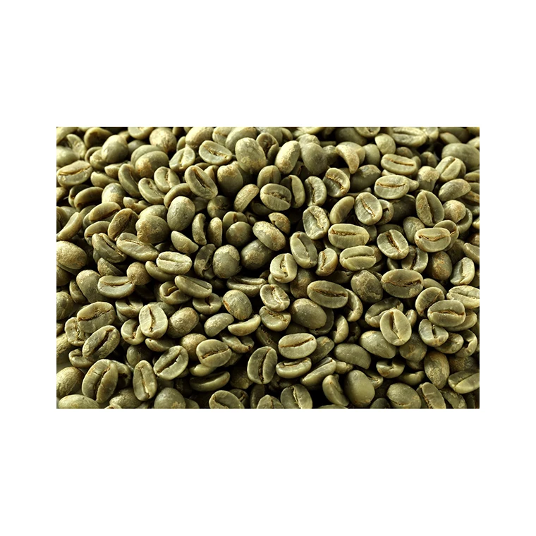 
Good Quality Hawaii Natural Unroasted Green Coffee Beans Raw 
