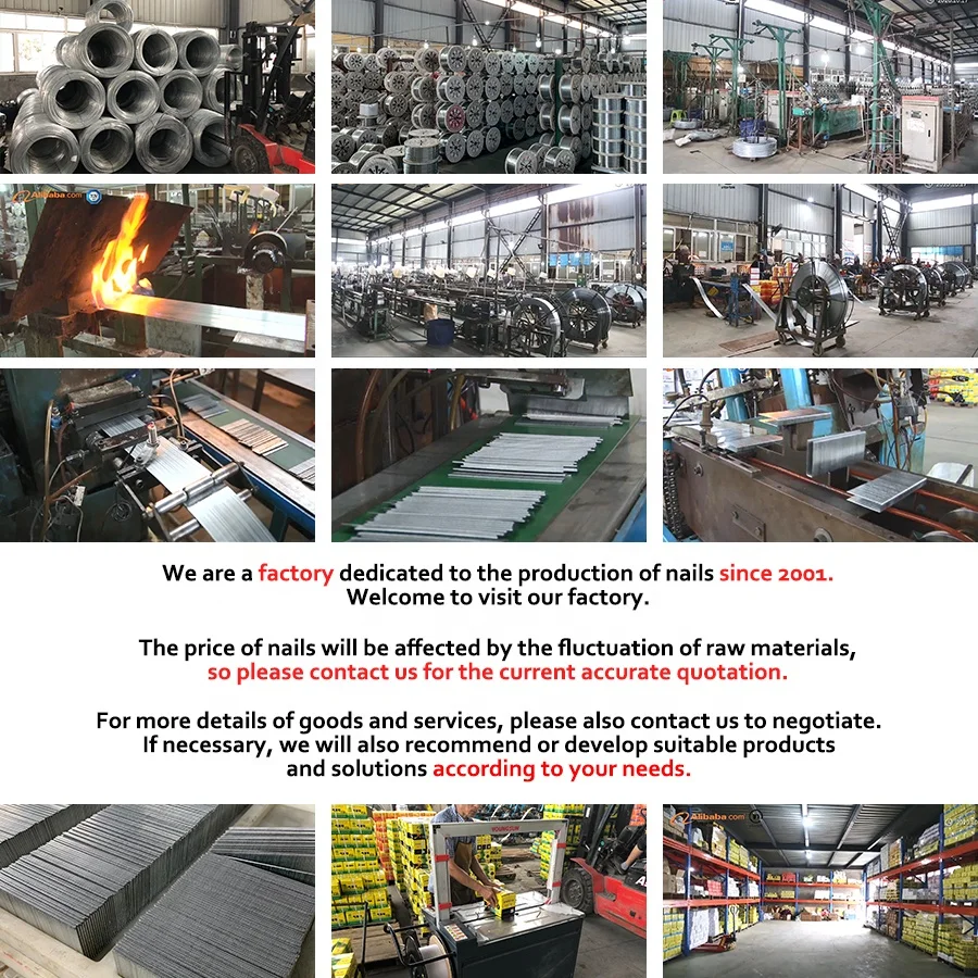 Factory Suppliers OEM Colorful Staple Metal Steel Zinc 10J Series Nails 1013J Sofa Pneumatic Pin Staple for Stapler