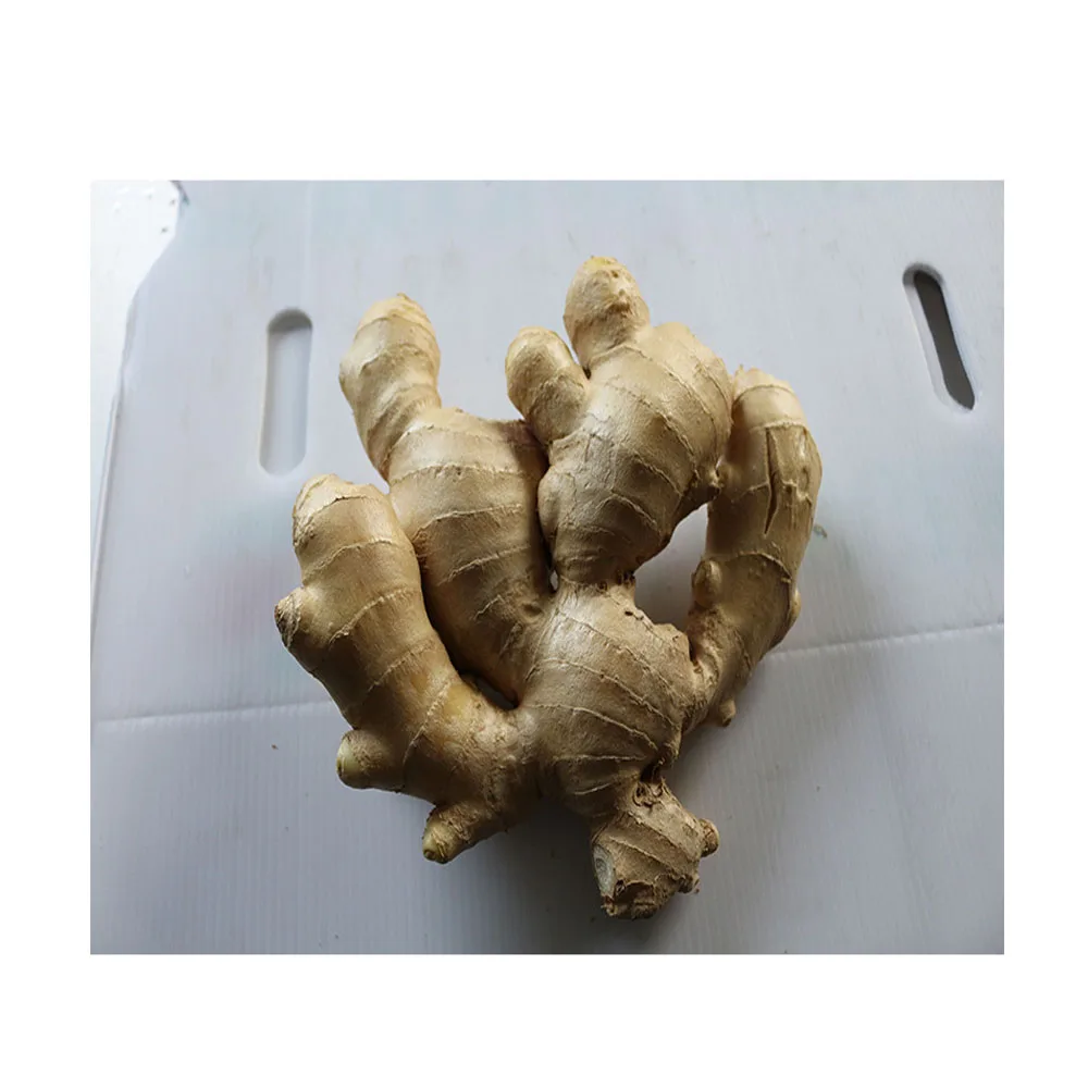 
Wholesale Best Price Grade Vegetables Frozen Ginger 