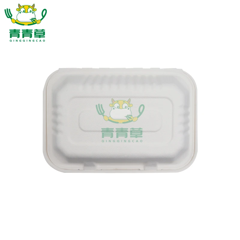Wholesale Sugarcane Bagasse biodegradable  Takeaway Food Container