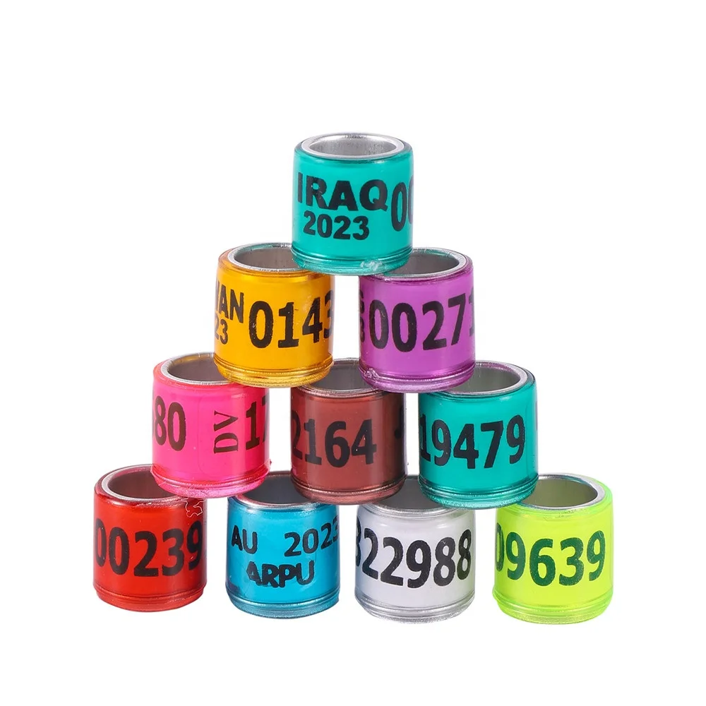 Pigeon Foot Rings 2024/2025 Multi-color Bird Leg Ring With Word Earrings