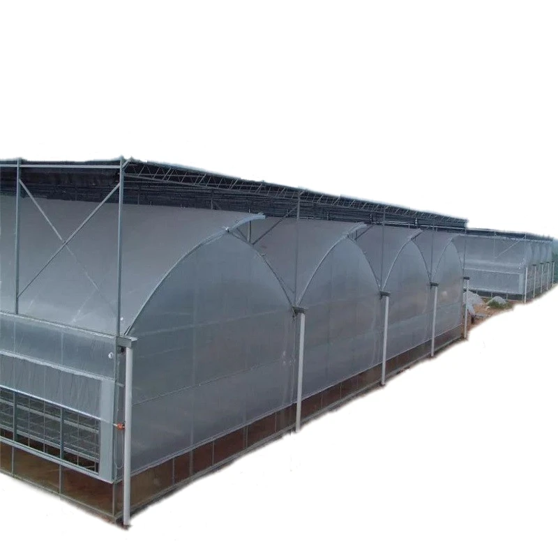 
The best agricultural sawtooth greenhouses 