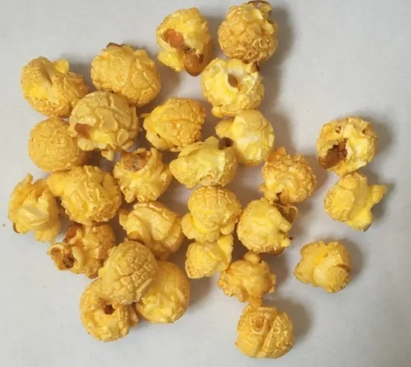 Air Popping Popcorn Machine/Cretors American Mushroom Coater/Caramelizer popcorn plant Made in China Jinan DG