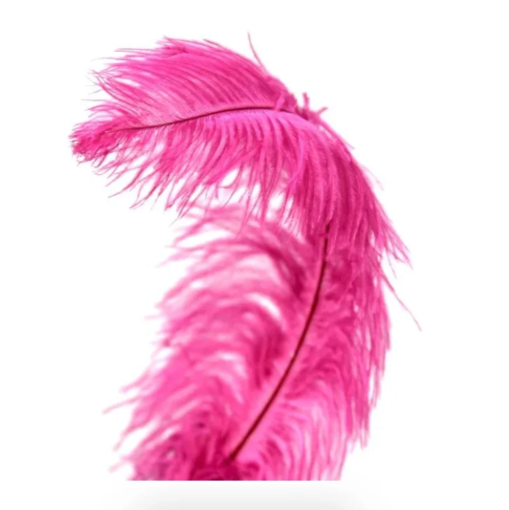 Wholesale Floss Ostrich Feathers  For Wedding Carnival Performance Millinery Fashion and Costume Design