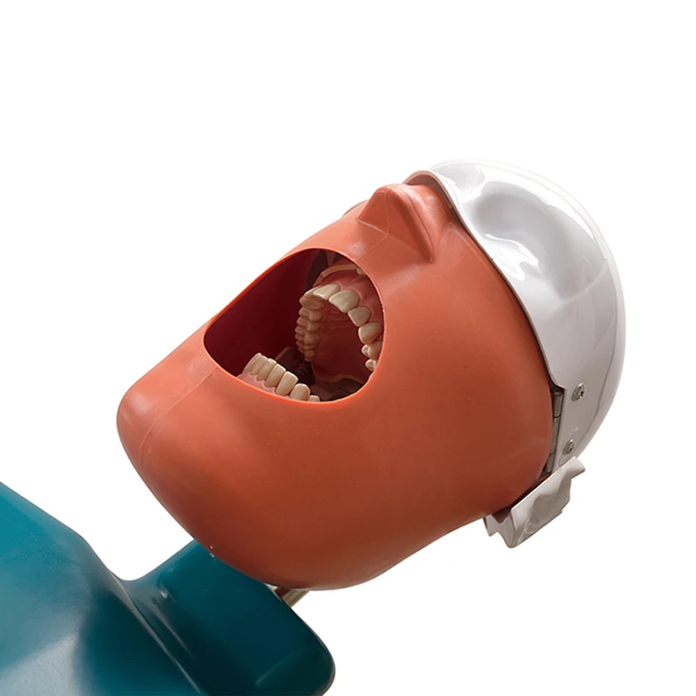 phantom head simulator dental magnetic jaw surgical dental simulator dental simulation unit