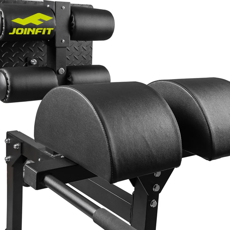 equipment adjustable roman chair