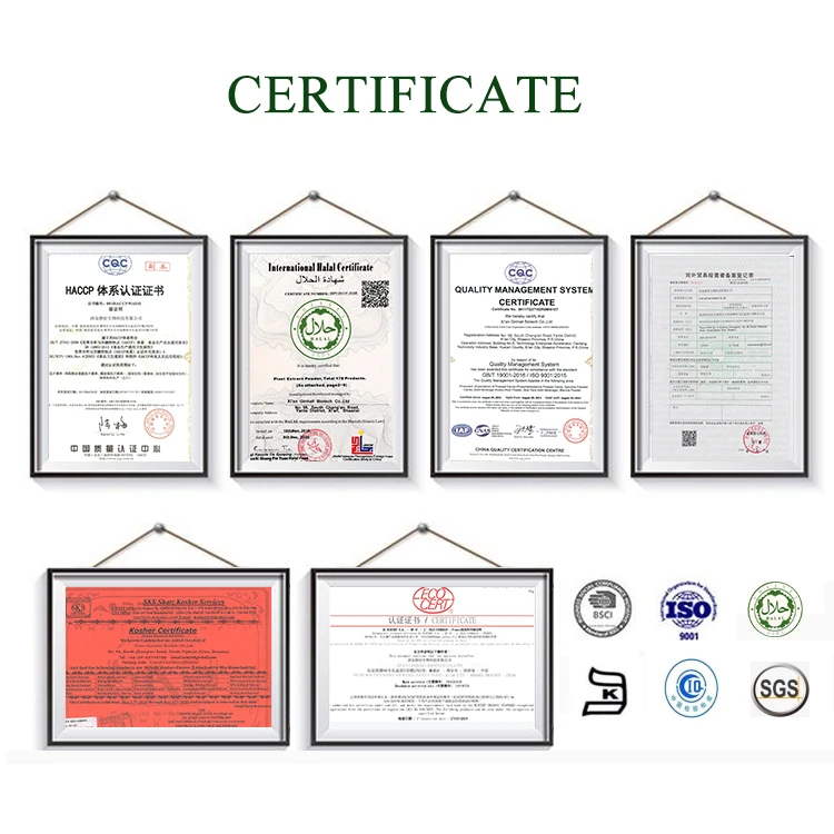 Ginhall Hot Sale Cheap Seed Extract Food Grade Pure With Full Certificates Almond Flour Powder
