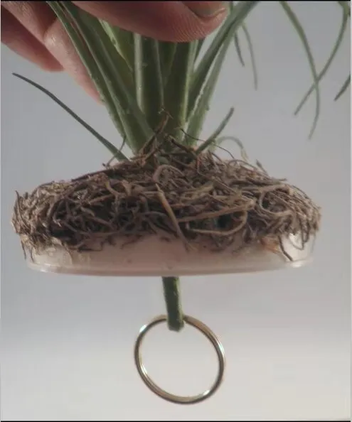 Diversion Stash Hider Secret Flower Pot Safe Secret Hide treasure Outdoor Hidden Compartment Money Safe with Key Lock Box