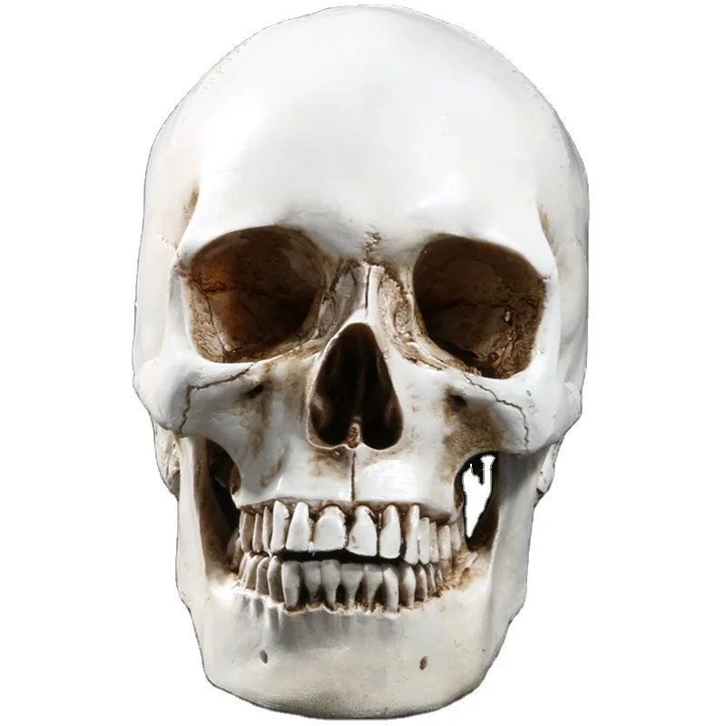 Статуи из смолы для Хэллоуина домашний декор декоративное ремесло размер черепа 1:1 образец жизни высокое качество