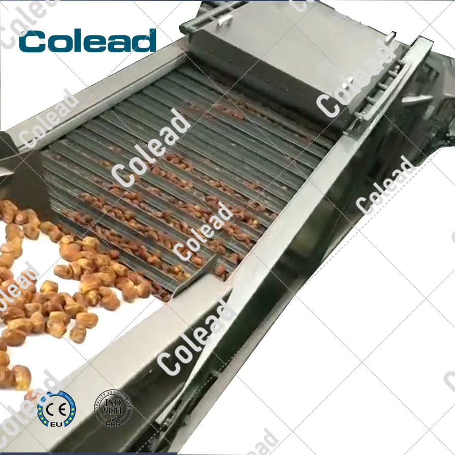 grid scraper type Vibrating conveyor belt  Comprehensive cleaning machine for Dates fruit
