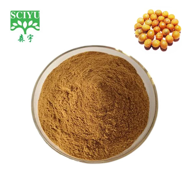 Sapindus Mukurossi Extract Soap Nut Powder Chinese Soapberry Fruit Extract Powder 40%-70% Saponins