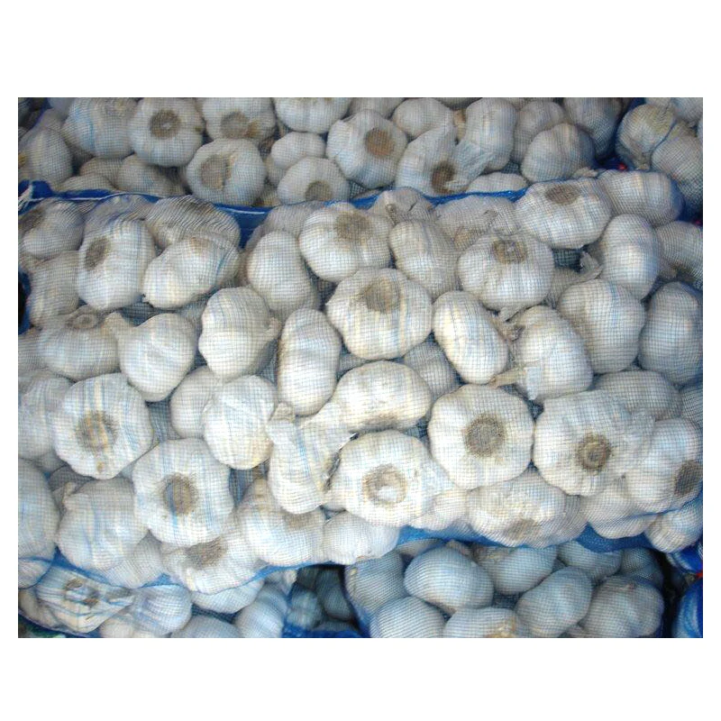
 Оптовая продажа, низкая цена, натуральный обычный свежий белый чеснок для экспорта  