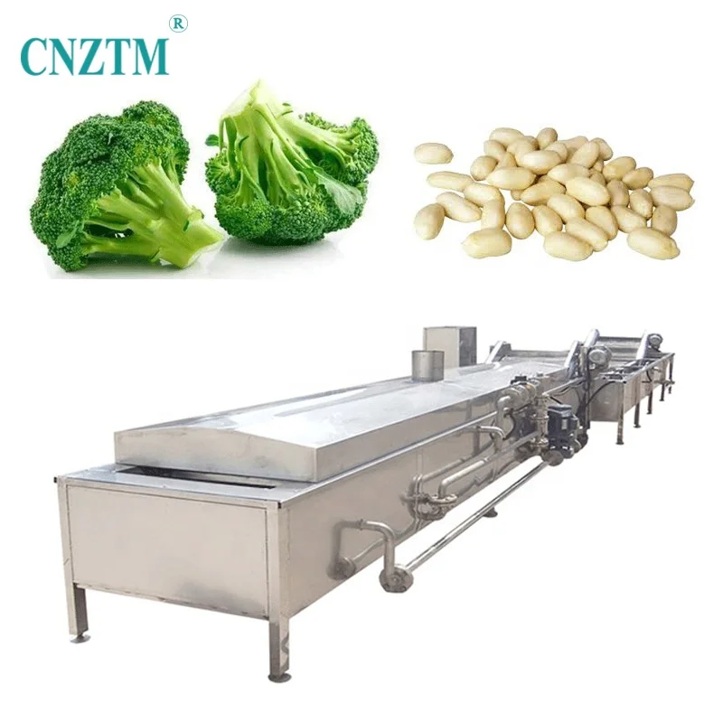 Automatic Chicken Blanched Fruit And Vegetable Onion Broccoli Corn Peanut Ginger Pea Potato Continuous Steam Blanching Machine