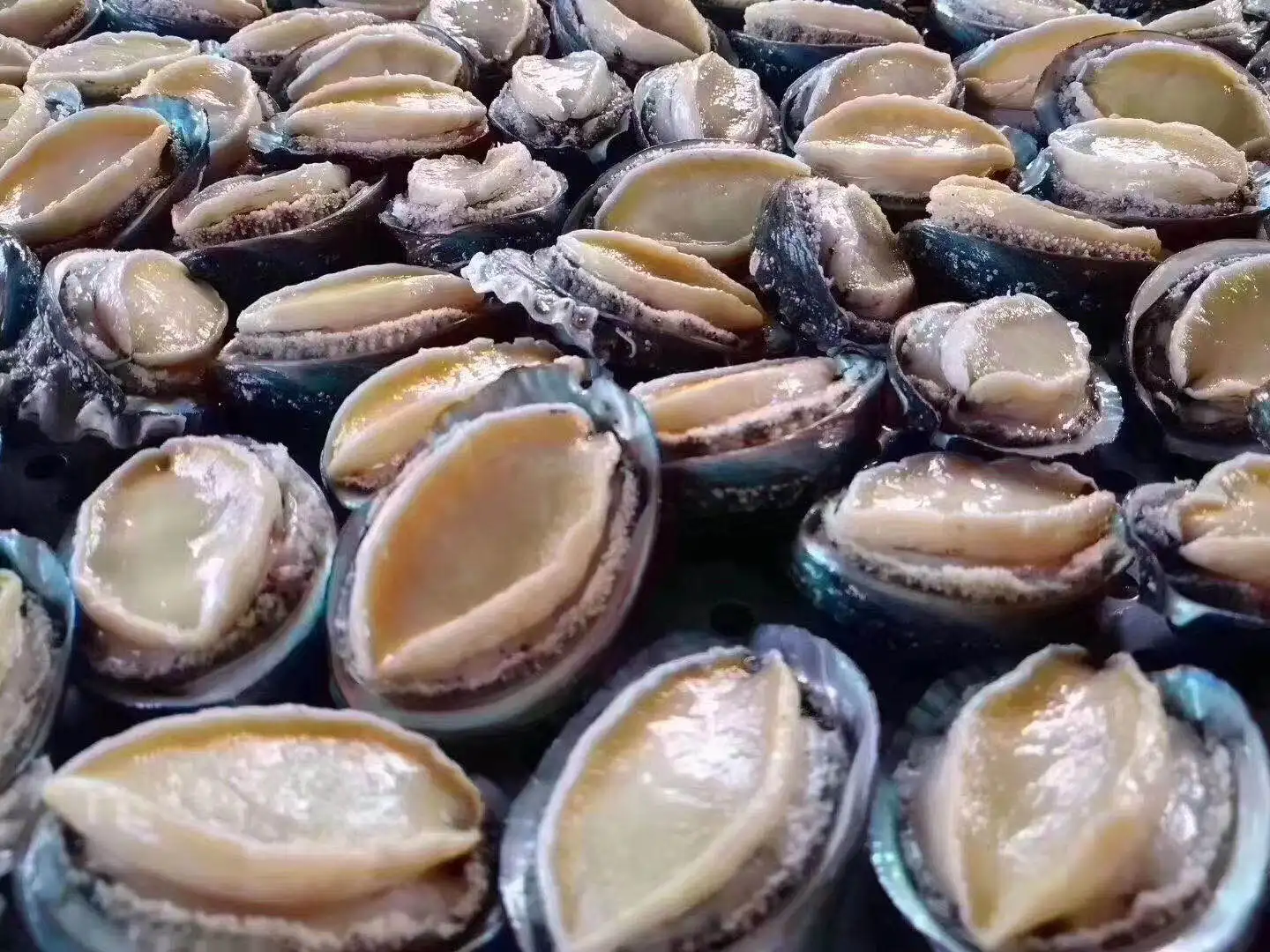 
Dried Gold Abalone Seafood,Food Grade 1000g/2bags 