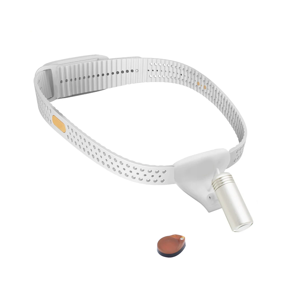 Chenwei medical Equipment Surgery LED ENT Examination Headlight Price LED with loupe forehead lamp