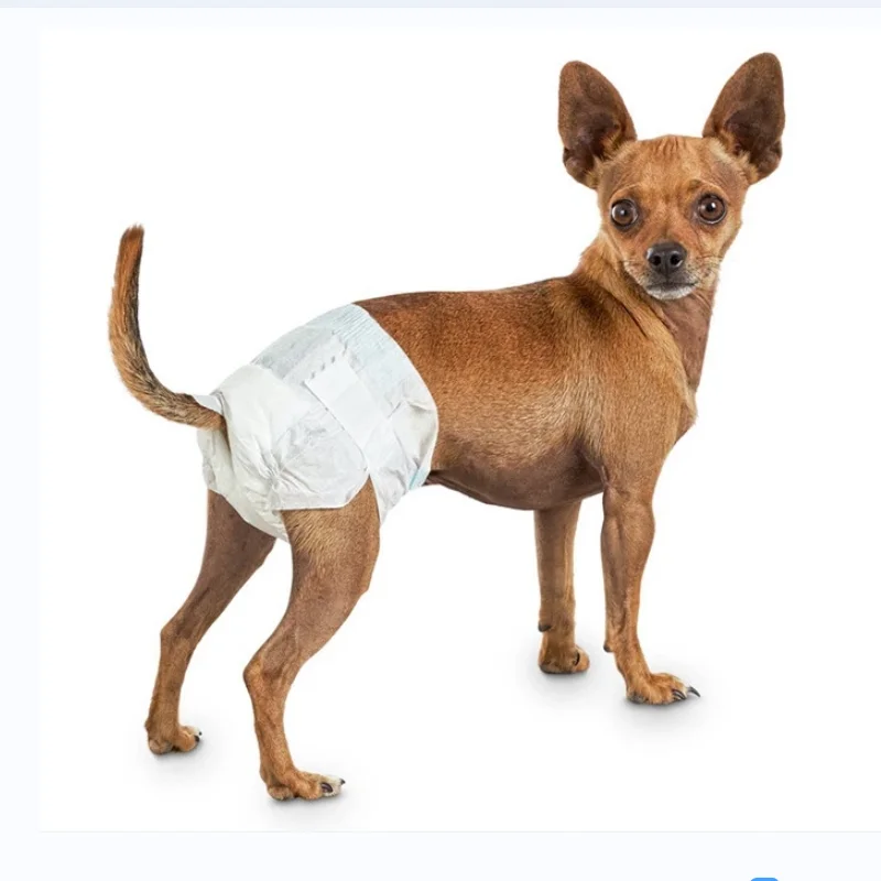 Disposable cheap price wrap female and male training pad for cat thickened pet dog diaper pant in bulk