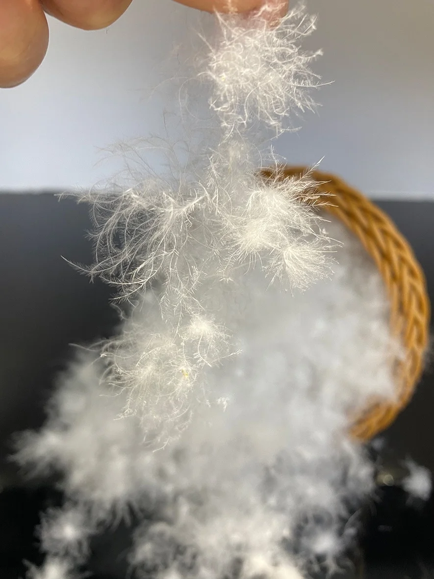 High Quality Washable Duck Down Duck Feather Super Fashion 90% Washed White Duck/Goose Feather Down