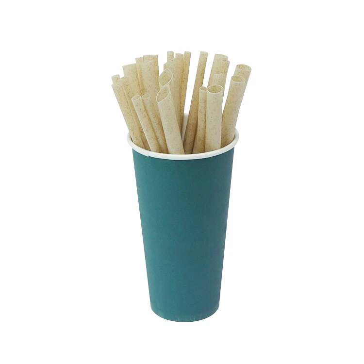 6mm 8mm 12mm Sugarcane Straws Disposable Sugarcane Bagasse Straws Compostable