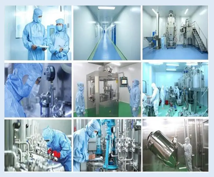 
High Purity Raw Material Nootropics Powder Picamilon/Pikamilone/ Pikamilon Sodium 