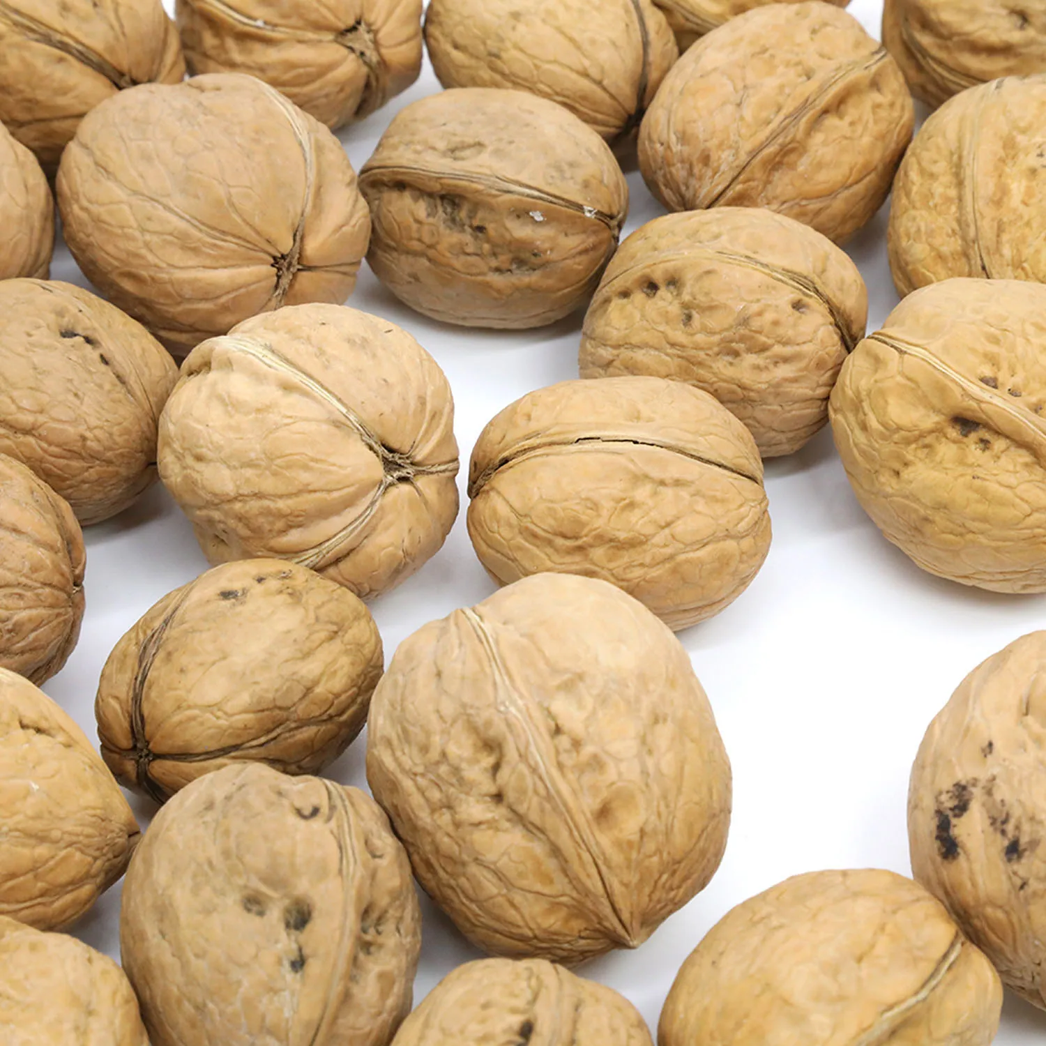 Wholesale Xinjiang Dried /Raw /Fresh 185 Walnut  & high quality best price
