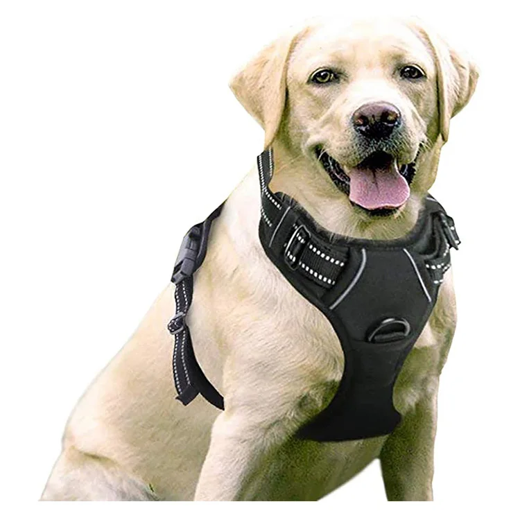 Dog Harness  No-Pull Pet Harness with 2 Leash Clips