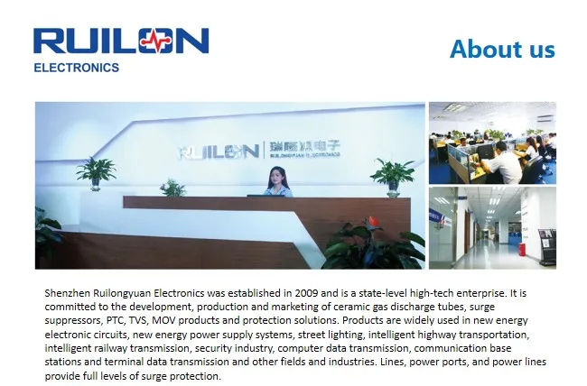 compamy introduce.JPG