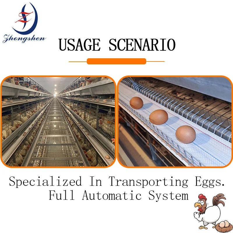 Source Manufacturer Width Customized Sercive Egg Collection Conveyor Belt for poultry farm