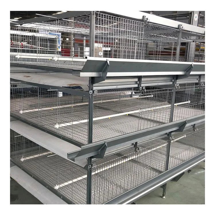 Poultry Husbandry Equipment 128 160 Capacity Chicken Layer Cage Cages For Chicken Coop Farm