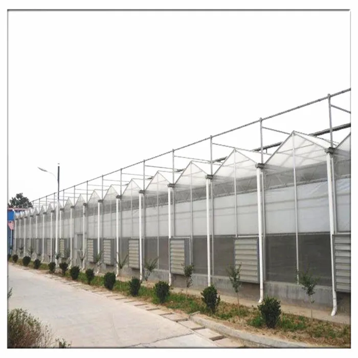 China Factory Commercial Agricultural Vegetable Fruit Flowers Galvanized Steel Frame Polycarbonate Greenhouses