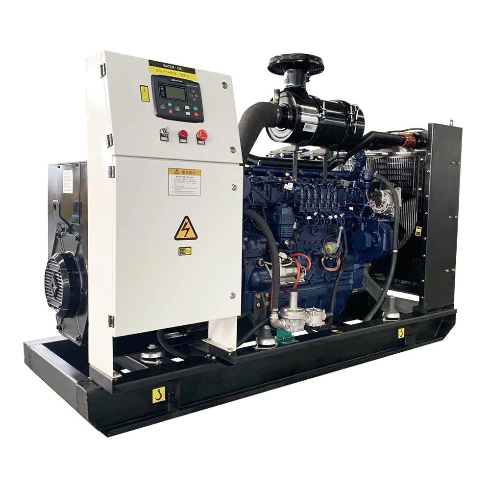 160kw 200kva Natural gas engine generator powered by doosan GE012TI engine