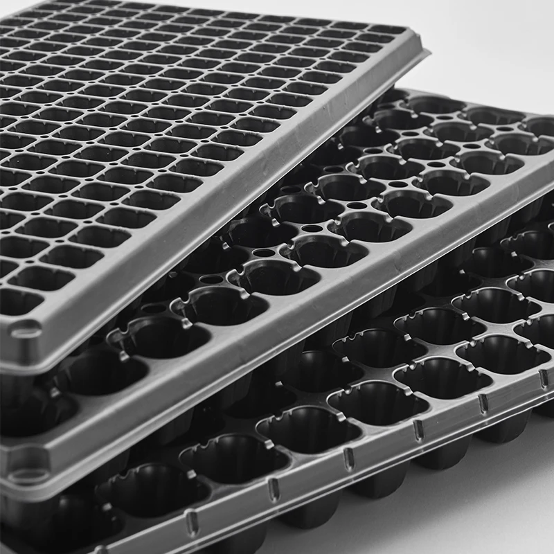 Agricultural Durable Broccoli 98 Cells Plastic Agriculture Seed Growing Plant Tray