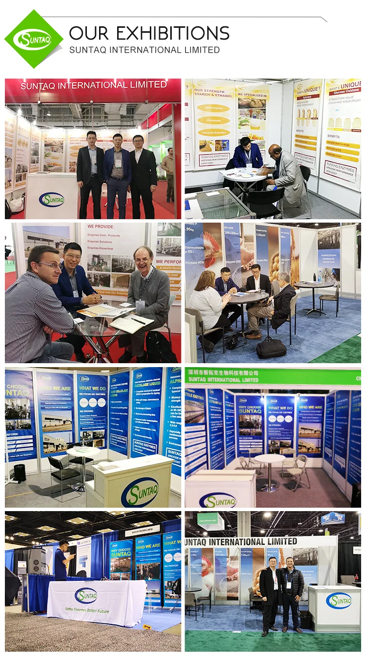 Suntaq Wholesale food additives enzymes preparations high concentrated 6600u/mL active liquid Pullulanase for grain processing