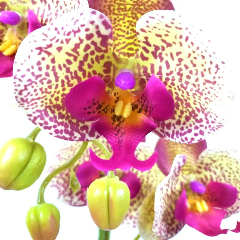 Artificial Real Touch Orchids Flowers Latex Phalaenopsis Stems For Wedding Centerpieces Living Room Home Decoration