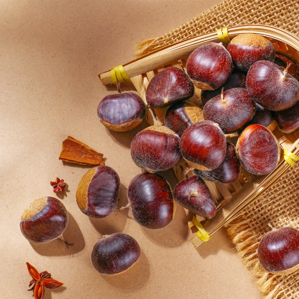 Новый свежий каштан yanshan hebei хорошего