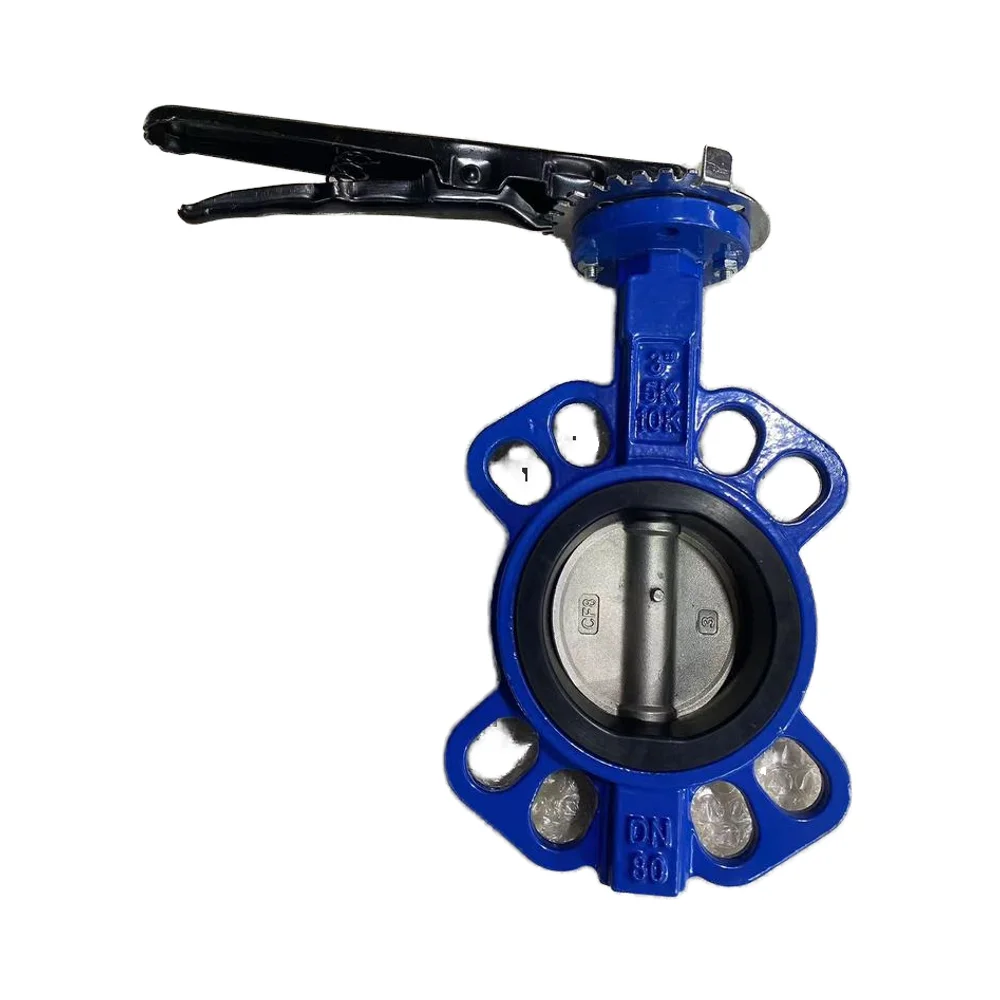 Two-Way DISC Butterfly Valve Vertical Plate Design Ductile Iron Stainless Steel Handle Manual Power Water Control General