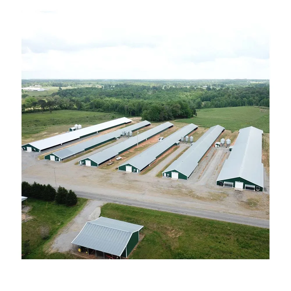 Pre-engineered tunnel roof steel structure poultry turn key project for poultry feed industry for sale